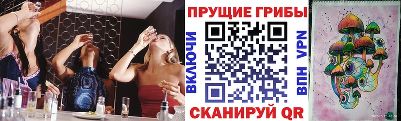 Псилоцибиновые грибы Cubensis  купить наркотик  Абакан 