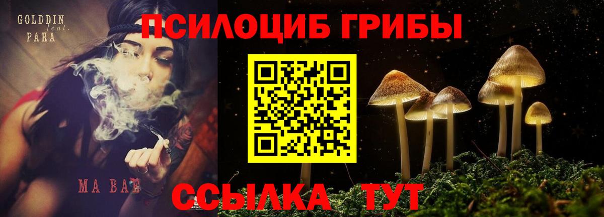 Абакан  Псилоцибиновые грибы GOLDEN TEACHER  Вход с VPN  Галлюциногенные грибы GOLDEN TEACHER 